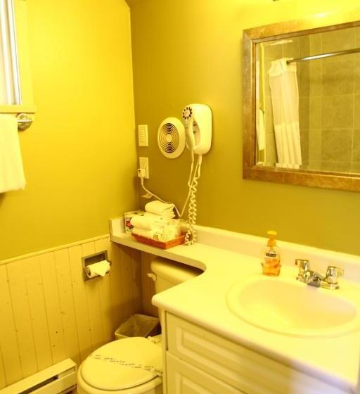 חדר סטנדרט, Swiss Chalets Motel