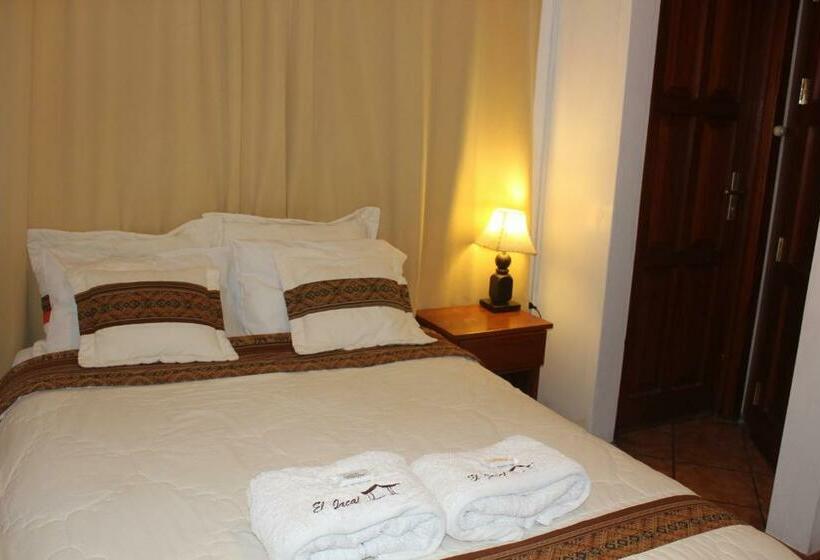 غرفة قياسية, El Jacal Backpacker