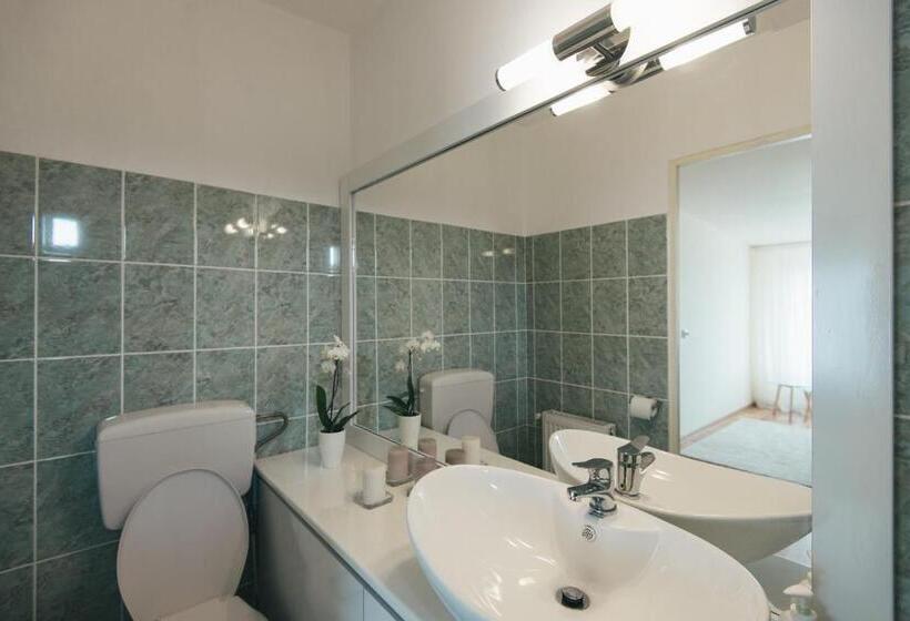 استودیوی استاندارد, Camelia's Cozy Place