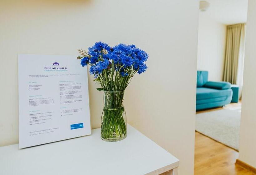 استودیوی استاندارد, Camelia's Cozy Place