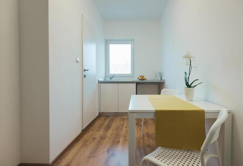 استودیوی استاندارد, Camelia's Cozy Place