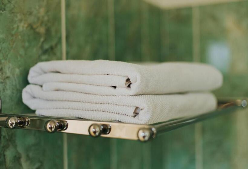 اتاق سوپریور با تخت بزرگ, Camelia's Cozy Place