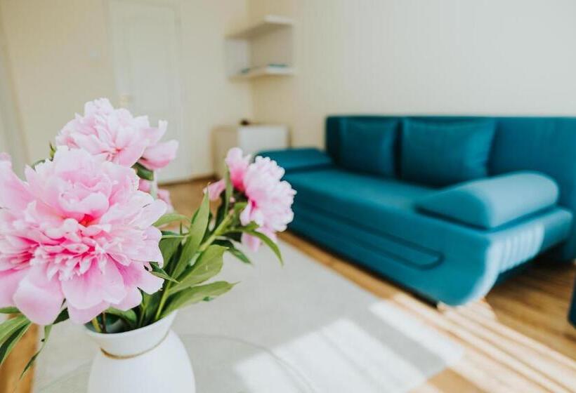 استودیوی استاندارد, Camelia's Cozy Place