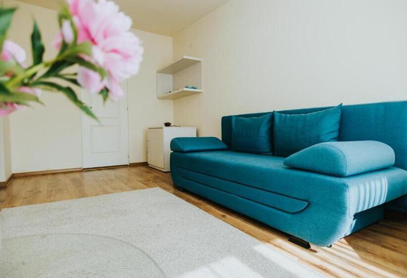 استودیوی استاندارد, Camelia's Cozy Place