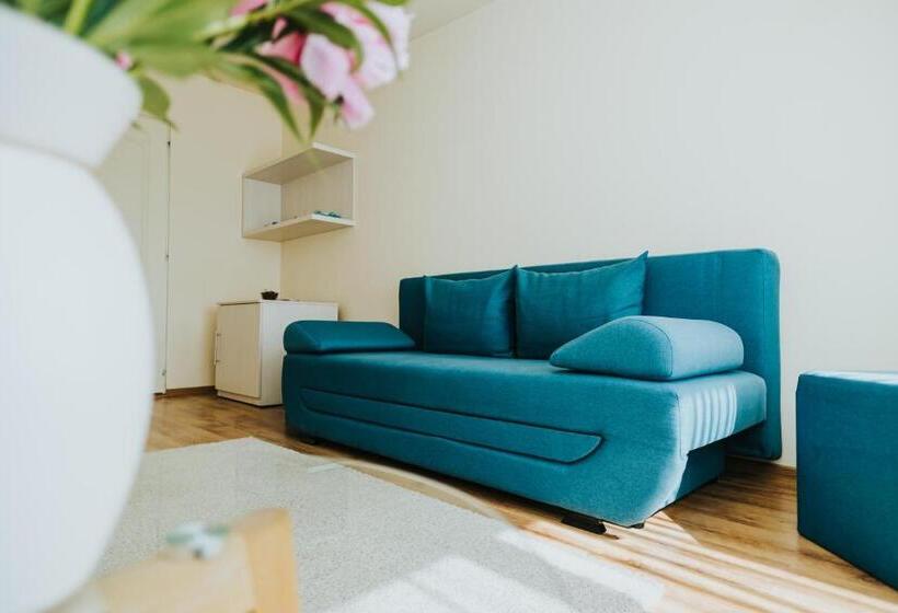 استودیوی استاندارد, Camelia's Cozy Place
