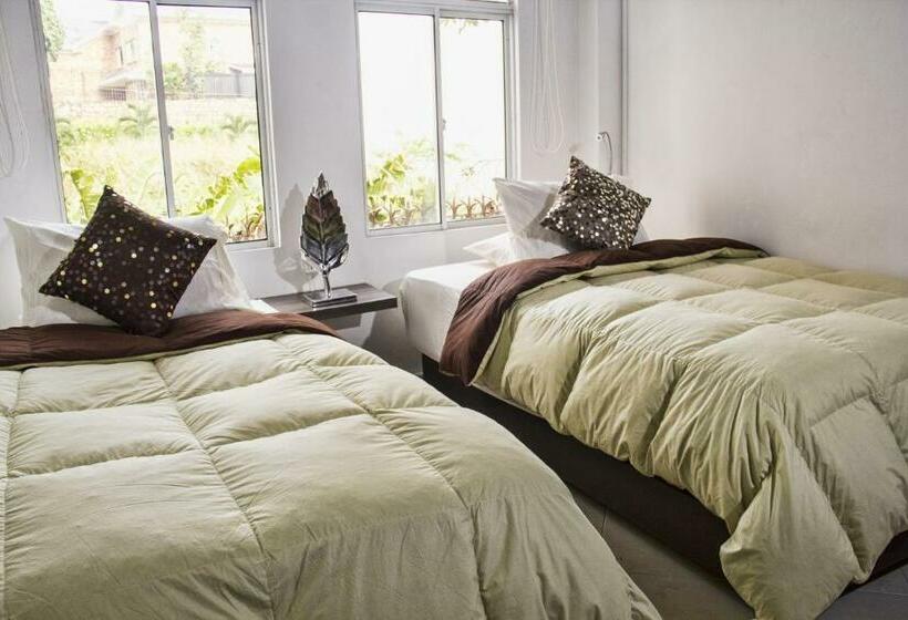 스탠다드 룸, Premium House