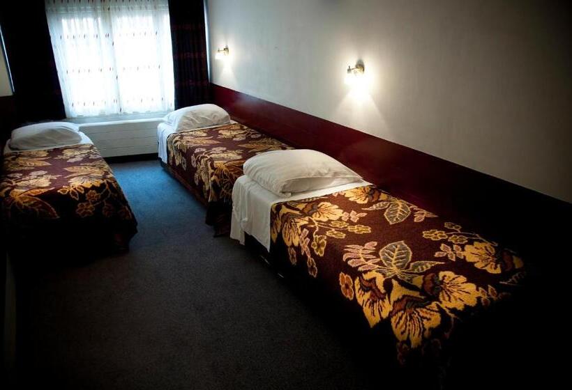 اتاق استاندارد سه نفره, Budget Hotel Ben