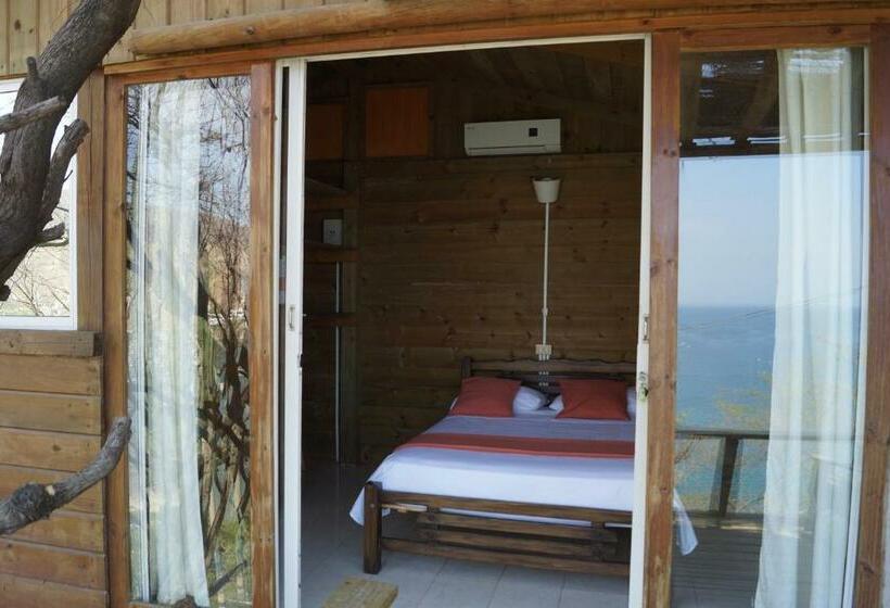 חדר סטנדרט, Cactus Taganga