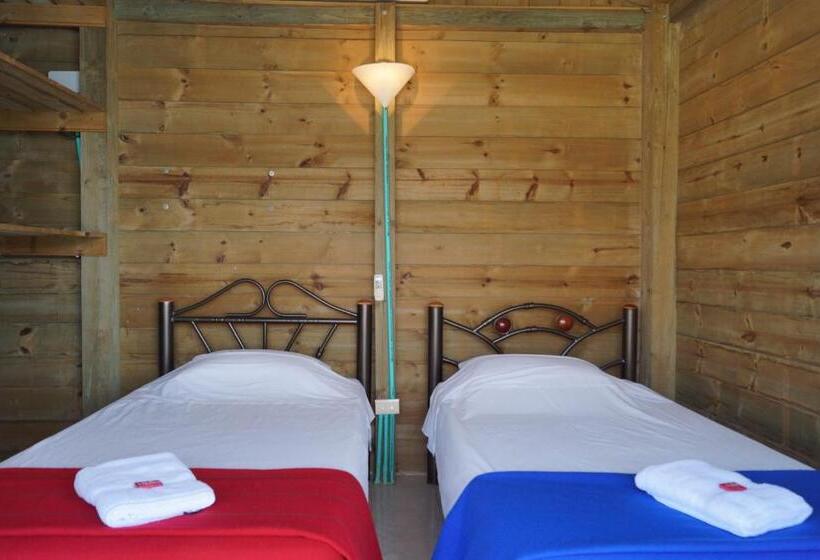 חדר סטנדרט, Cactus Taganga