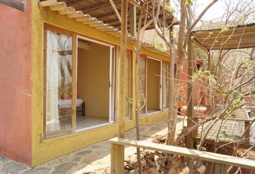 חדר סטנדרט, Cactus Taganga