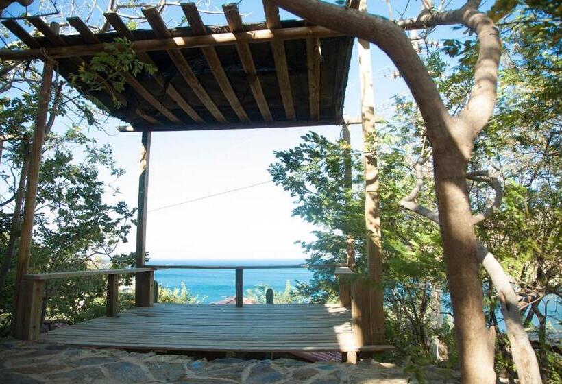 חדר סטנדרט, Cactus Taganga