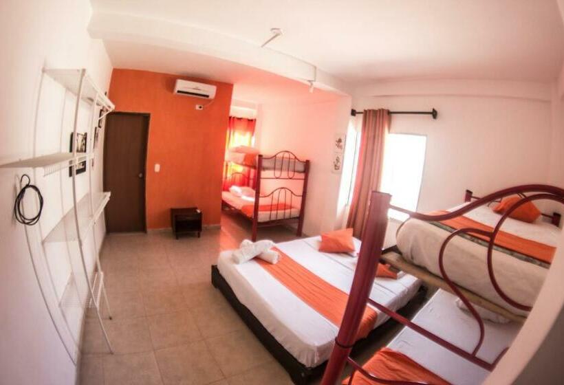 ファミリールーム, Taganga Dive Inn