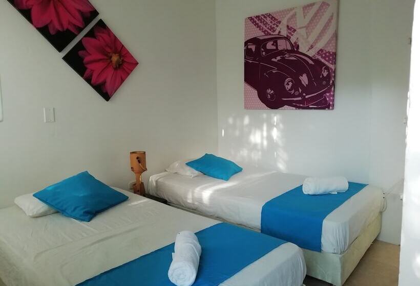 スタンダードルーム, Taganga Dive Inn