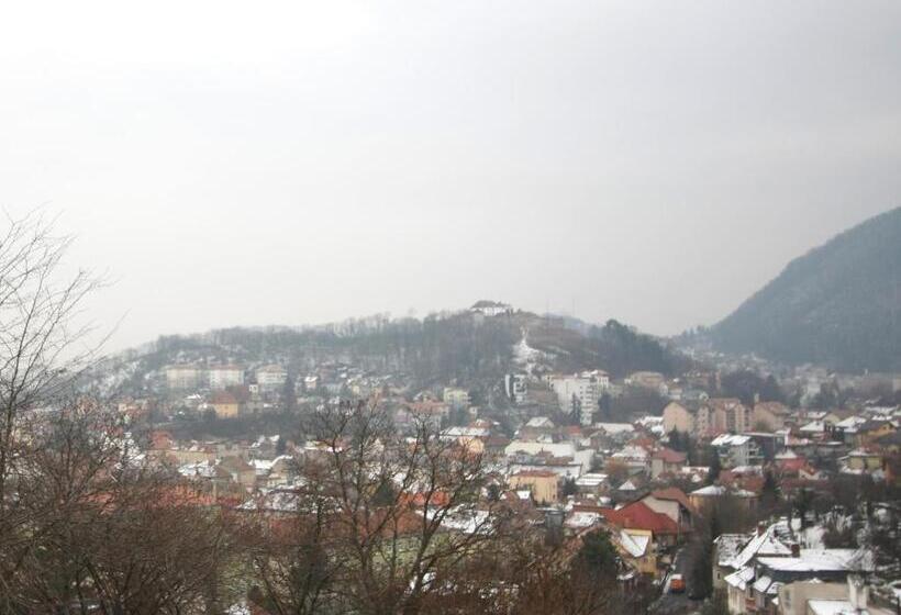 シティビューのスーペリアルーム, The Pines Boutique Villa