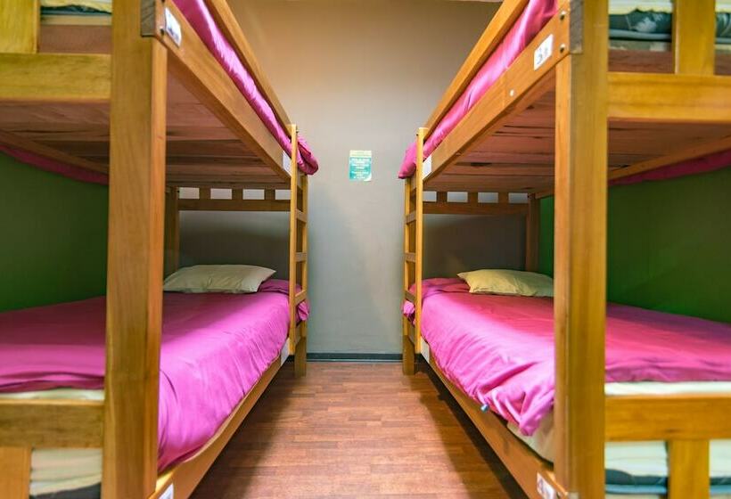 Letto in Camera Condivisa, Inka Wild Hostel
