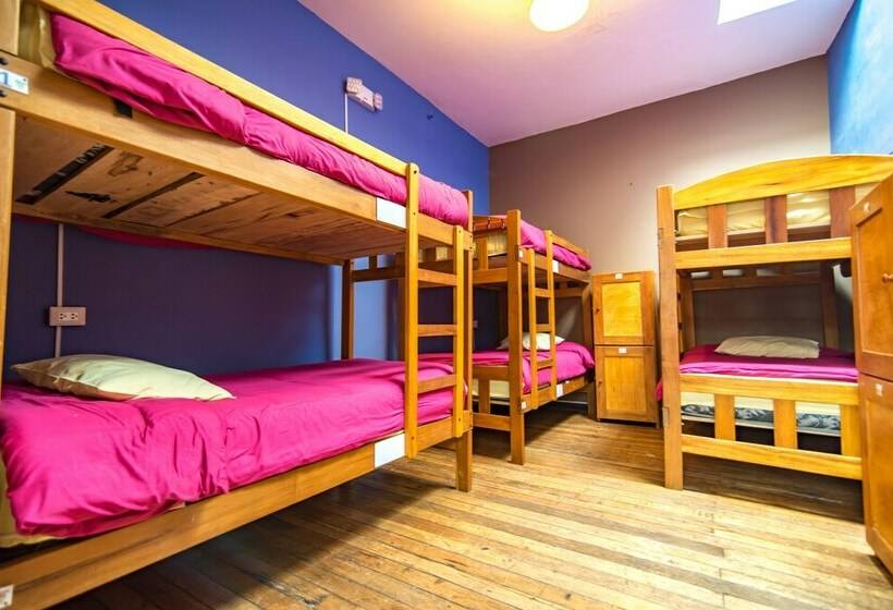 Letto in Camera Condivisa, Inka Wild Hostel