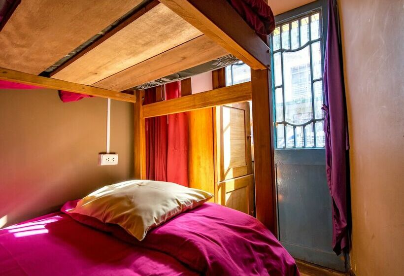 Camera Standard, Inka Wild Hostel