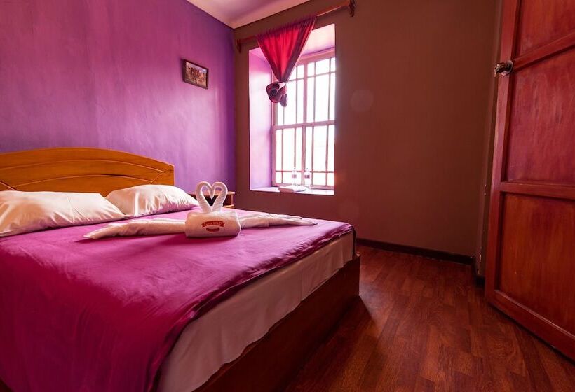 Camera Standard, Inka Wild Hostel