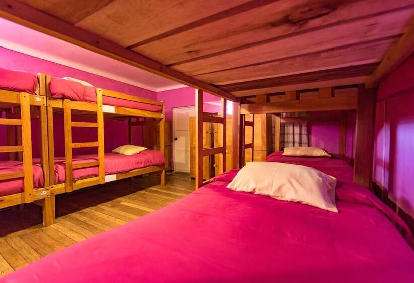 Кровать в Общей Комнате, Inka Wild Hostel