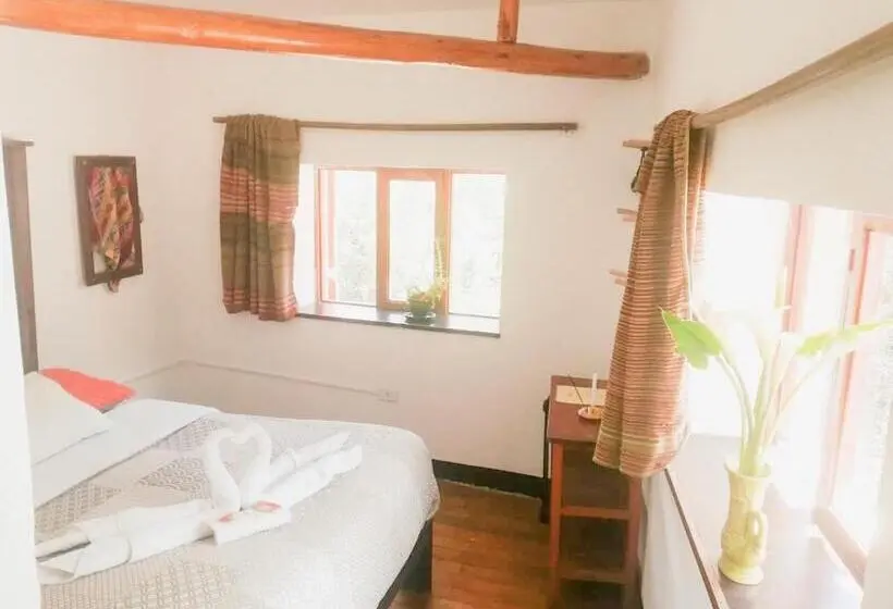 اتاق لوکس, Casa Patacalle