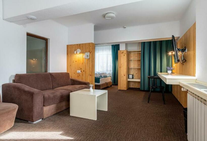 スーペリアールーム, Complex Hotelier Cota O Mie