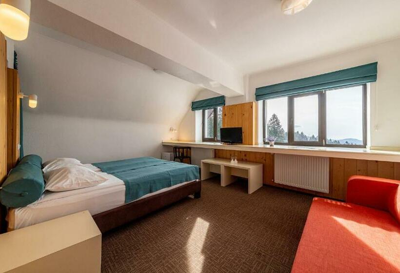 スタンダードルーム, Complex Hotelier Cota O Mie