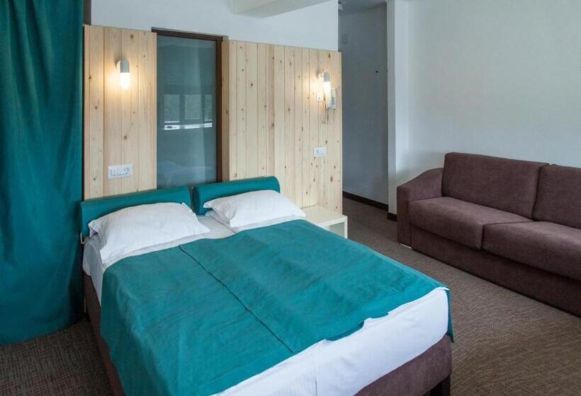 スタンダードルーム, Complex Hotelier Cota O Mie