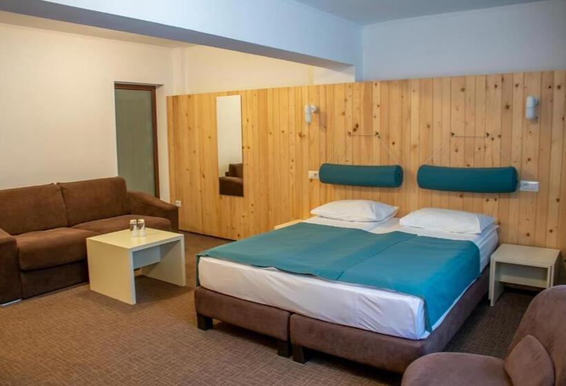 スタンダードルーム, Complex Hotelier Cota O Mie