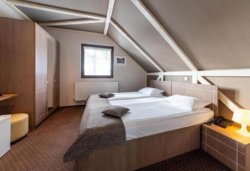 スタンダードルーム, Complex Hotelier Cota O Mie