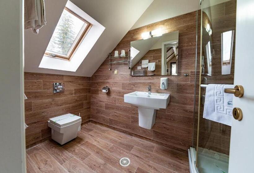 スタンダードルーム, Complex Hotelier Cota O Mie