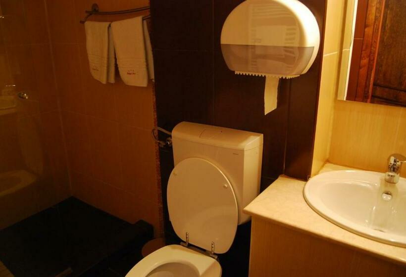 اتاق استاندارد سه نفره, Ana