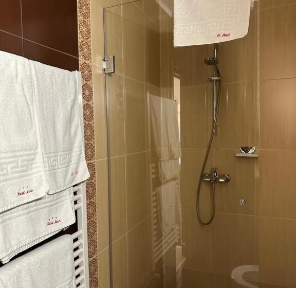 اتاق استاندارد, Ana