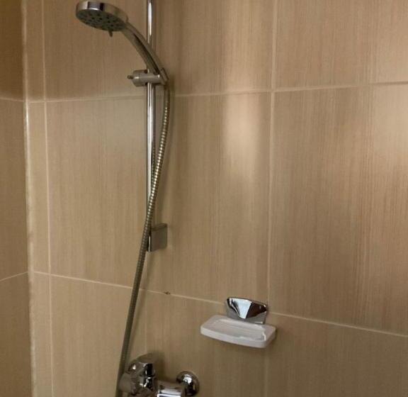 اتاق استاندارد, Ana