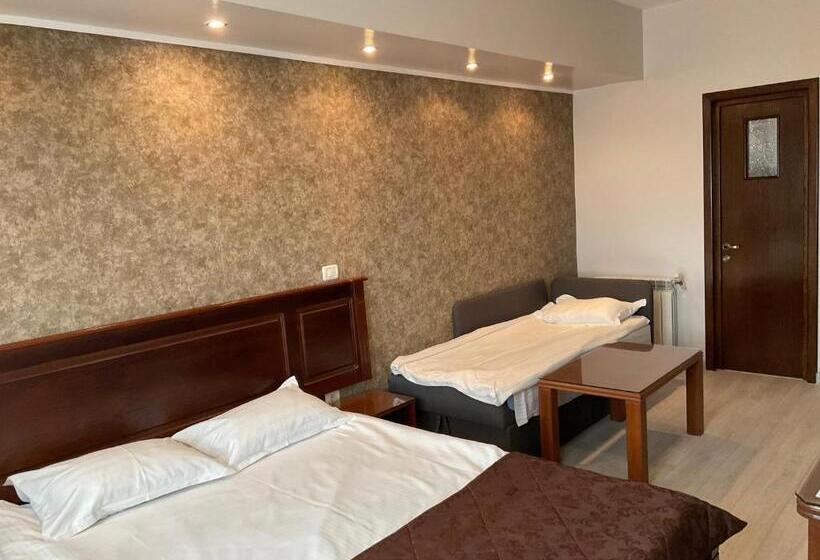 اتاق استاندارد سه نفره, Ana