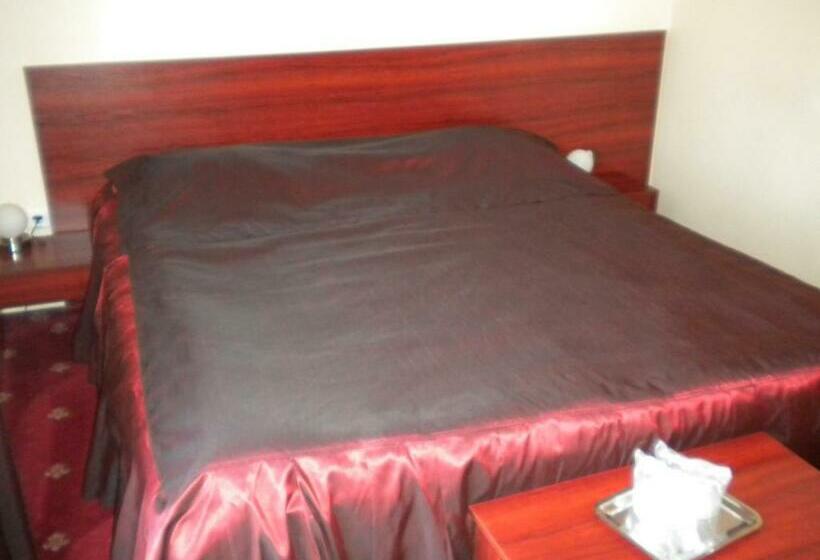 스탠다드 룸, Ary