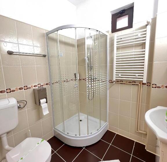 חדר סטנדרט יחיד, Clipa