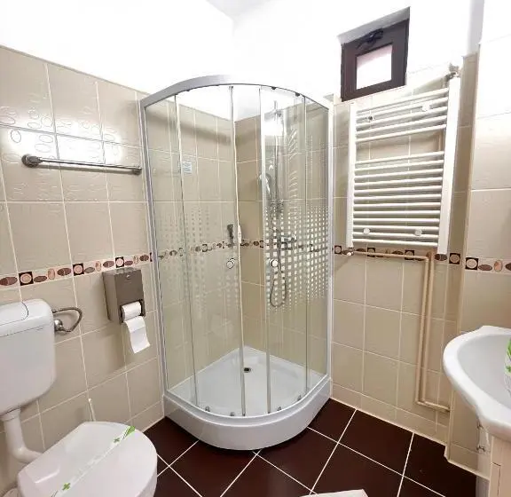 Standard Yhden Hengen Huone, Clipa