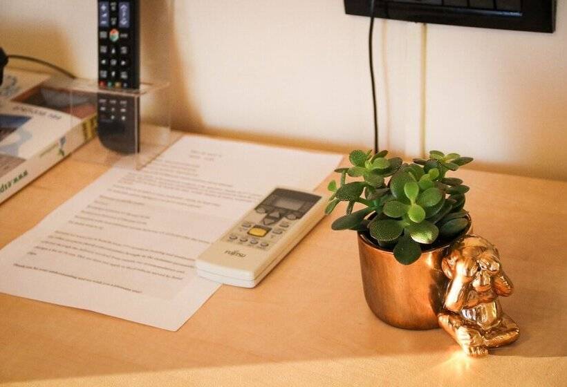 חדר סטנדרט יחיד, Clipa