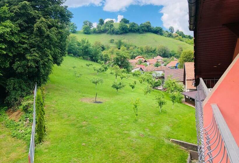 חדר סטנדרט לשלושה, Poenita