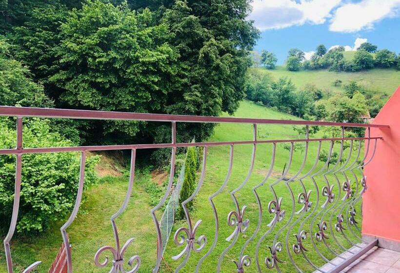 חדר סטנדרט לשלושה, Poenita