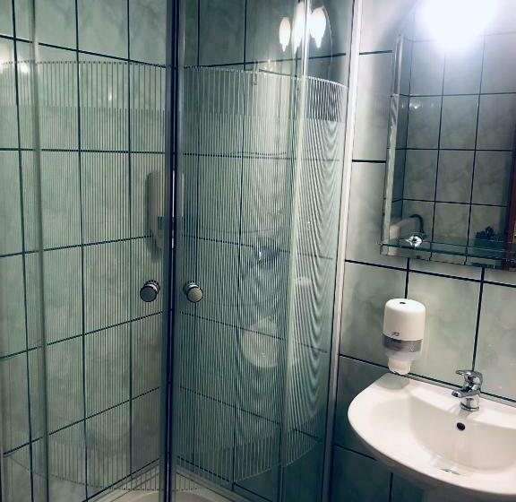 חדר סטנדרט, Poenita