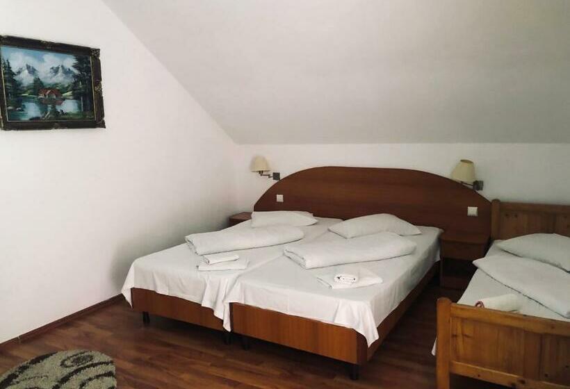 חדר סטנדרט לשלושה, Poenita