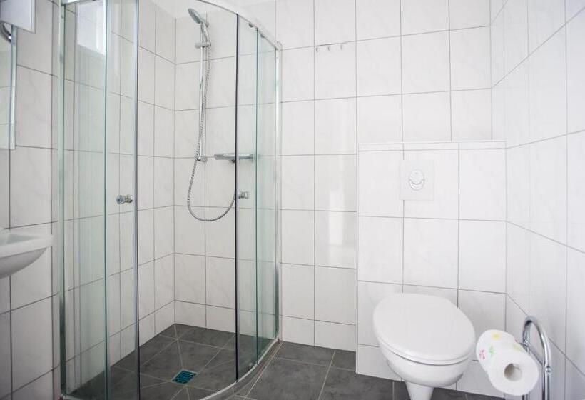 اتاق خانوادگی, Motel Schlegel