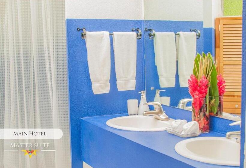 חדר דחוקס עם מיטת קינג, La Puerta Del Sol