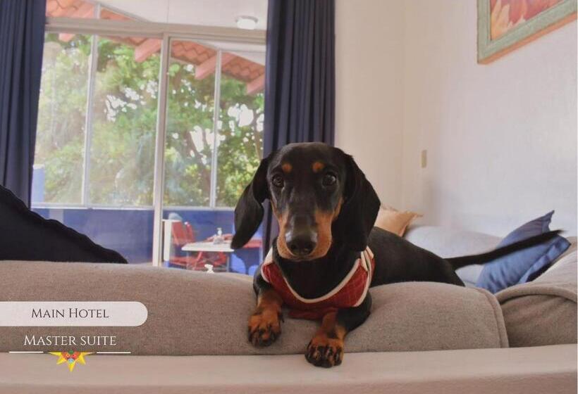 חדר דחוקס עם מיטת קינג, La Puerta Del Sol