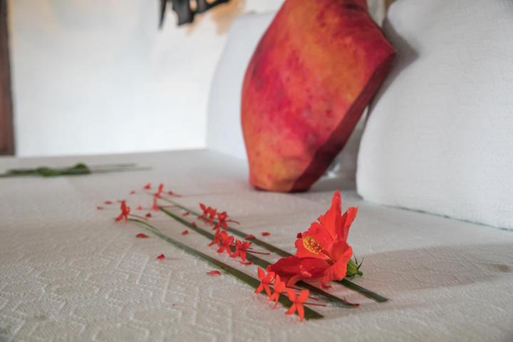 חדר משפחתי נוף לים, Sublime Ecohotel   Tayrona Palomino