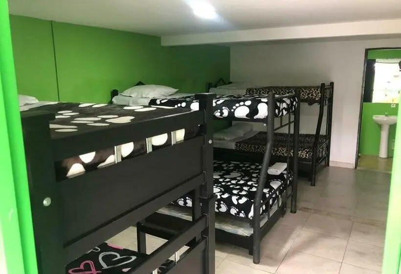 Superior-perhehuone, Hostal Y Camping Los Girasoles
