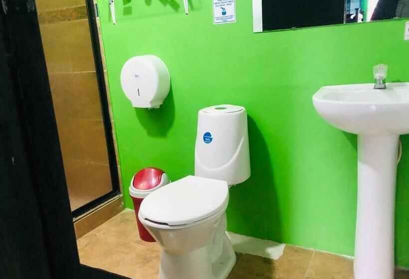 수피리어 패밀리 룸, Hostal Y Camping Los Girasoles