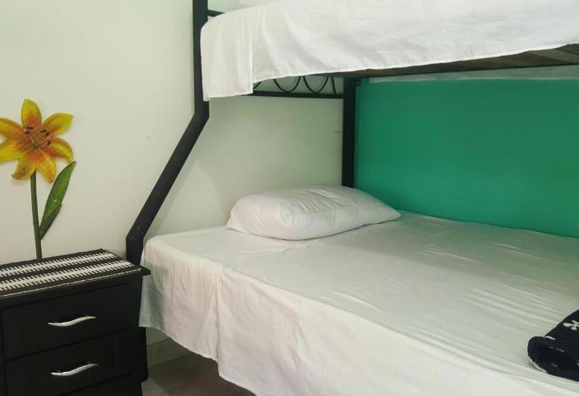 스탠다드 5인객실, Hostal Y Camping Los Girasoles