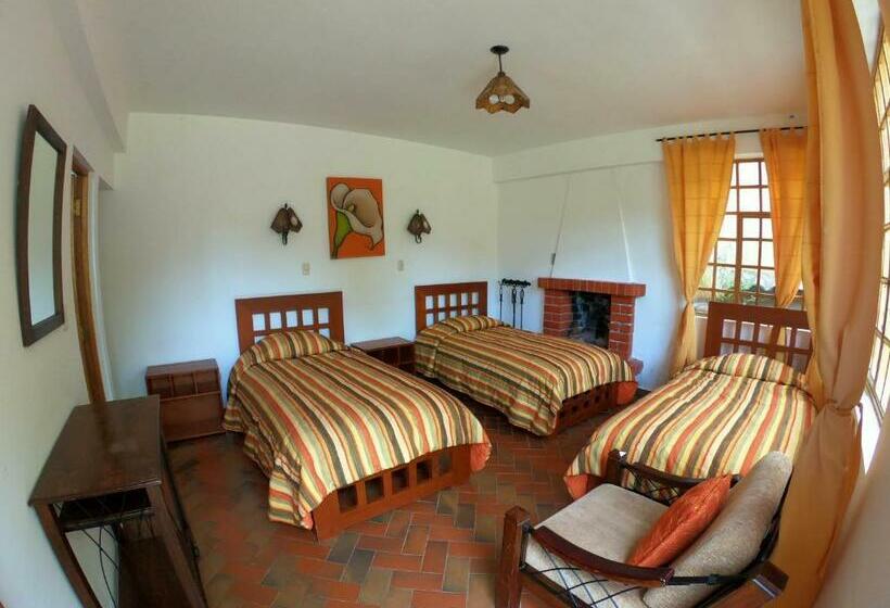 غرفة قياسية ثلاثية, Amaru Valle